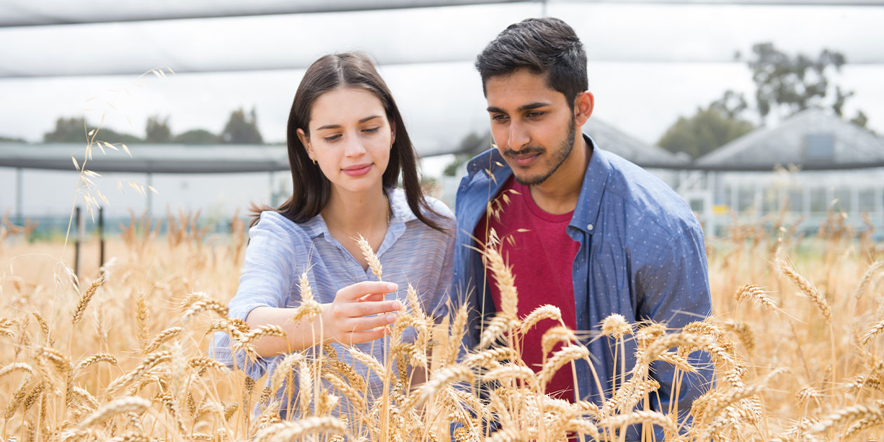 Associate Degree in Agribusiness - Study | Curtin University, Perth,  Australia